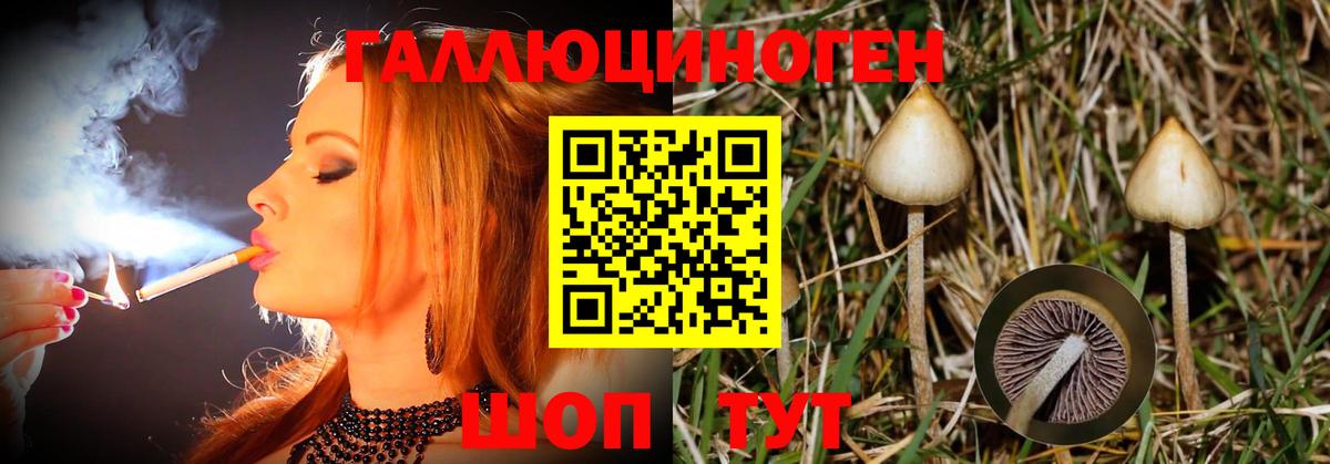 Галлюциногенные грибы прущие грибы Богородицк